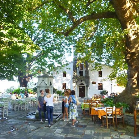Archontiko Michael Pelion Aparthotel Vizitsa Bagian luar foto
