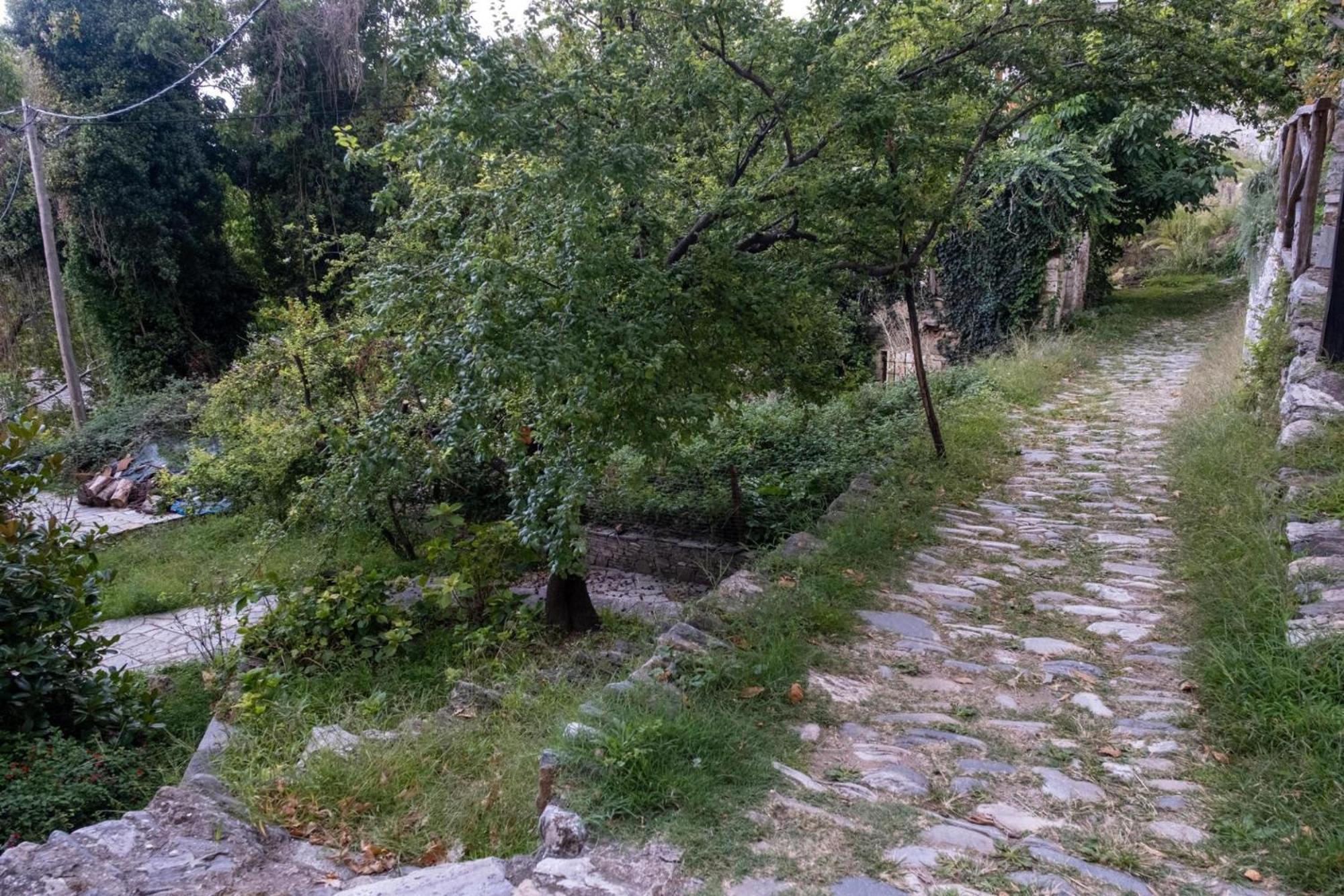 Archontiko Michael Pelion Aparthotel Vizitsa Bagian luar foto