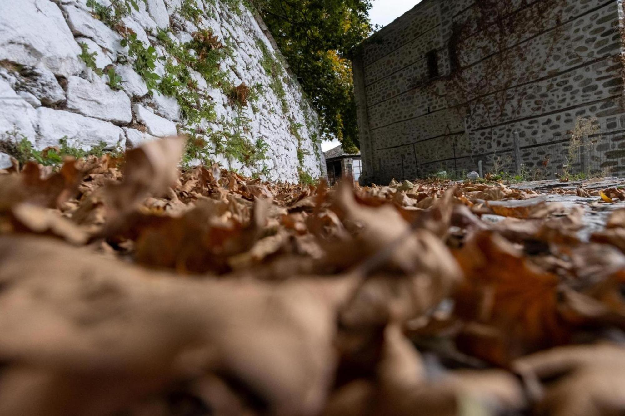 Archontiko Michael Pelion Aparthotel Vizitsa Bagian luar foto