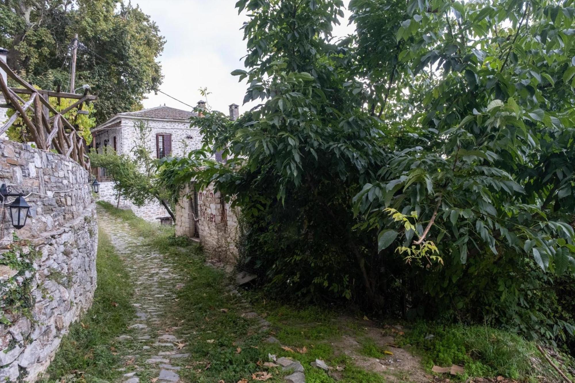 Archontiko Michael Pelion Aparthotel Vizitsa Bagian luar foto