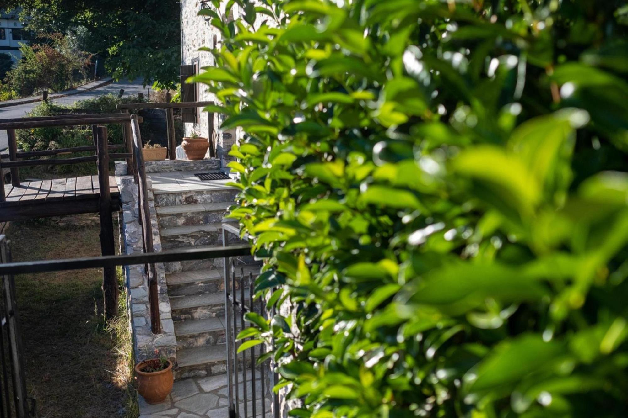 Archontiko Michael Pelion Aparthotel Vizitsa Bagian luar foto
